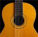 گیتار کلاسیک مارک Stagg مدل C548