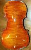 franklee-violin-back.jpg