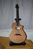 Breedlove Acoustic guitar-C25 CRH.JPG